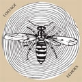 LOSTAGE / ECHOES (LP)