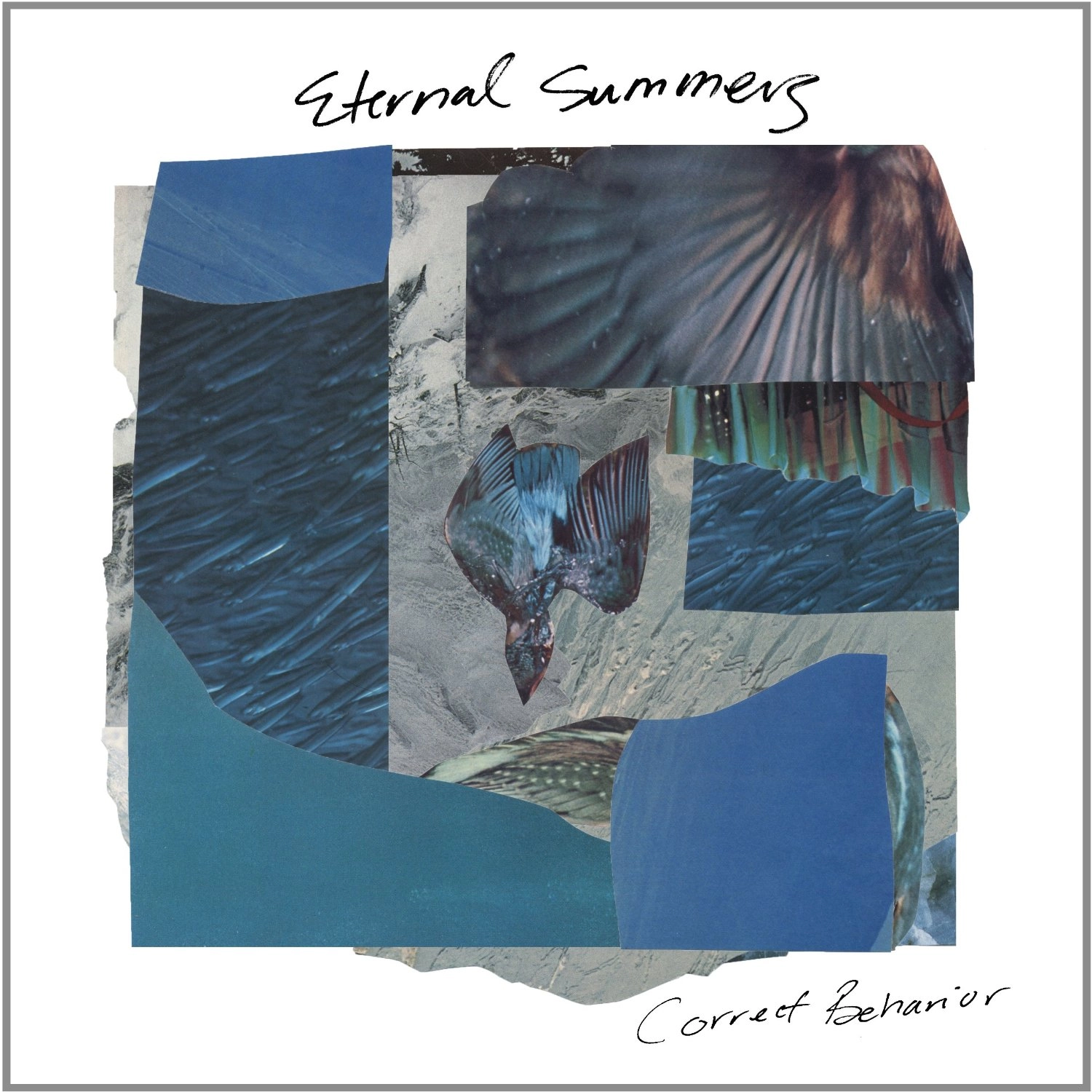 ETERNAL SUMMERS / CORRECT BEHAVIOR