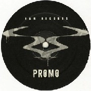 CALYX AND TEEBEE / CALYX & TEEBEE / ELEVATE THIS SOUND/HURTING (PROMO)