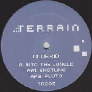 CLUEKID / INTO THE JUNGLE
