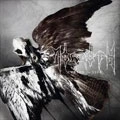 MORGOTH / モーゴス / CURSED TO LIVE