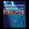 GARY MOORE & FRIENDS / ゲイリー・ムーア&フレンズ / ワン・ナイト・イン・ダブ（Ｂｌ