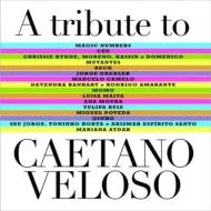V.A. (CAETANO VELOSO) / A TRIBUTE TO CAETANO VELOSO