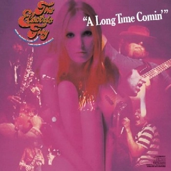 ELECTRIC FLAG / エレクトリック・フラッグ / A LONG TIME COMIN' / ア･ロング･タイム･カミン（紙ジャケット Blu-specCD）