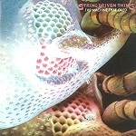 STRING DRIVEN THING / ストリング・ドリヴン・シング / THE MACHINE THAT CRIED