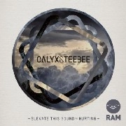 CALYX AND TEEBEE / CALYX & TEEBEE / ELEVATE THIS SOUND