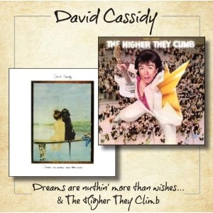 DAVID CASSIDY / デヴィッド・キャシディ / DREAMS ARE NUTHIN MORE THAN WISHES THE HIG