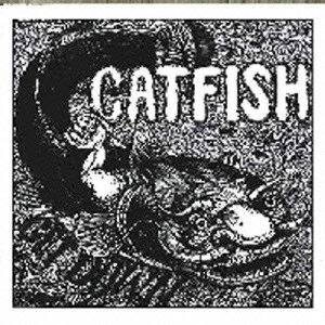 CATFISH / キャットフィッシュ / ゲット・ダウン / GET DOWN