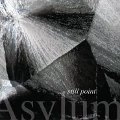 AMBER ASYLUM / STILL POINT