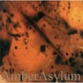 AMBER ASYLUM / FROZEN IN AMBER