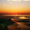 NJIQAHDDA / ANTOS VELUTII