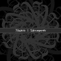 NJIQAHDDA / VALSUAARPORMIIS