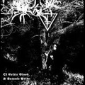 DROWNING THE LIGHT / OF CELTIC BLOOD & SATANIC PRIDE