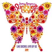 JOEY NEGRO & THE SUNBURST BAND / SECRET LIFE OF US