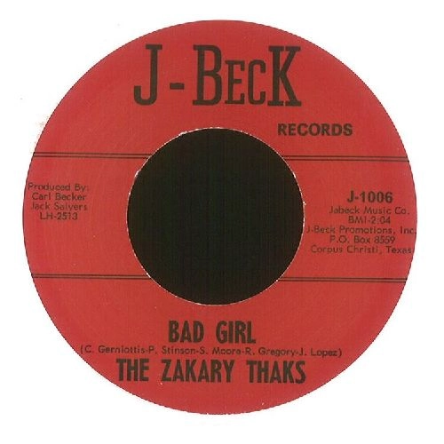 ZAKARY THAKS / BAD GIRL/I NEED YOU