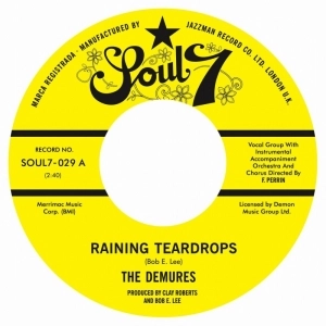 DEMURES + THE LOST GENERATION / デムールス + ロスト・ジェネレーション / RAINING TEARDROPS + THE SLY, SLICK AND WIC