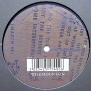 WISHMOUNTAIN   / RADIO