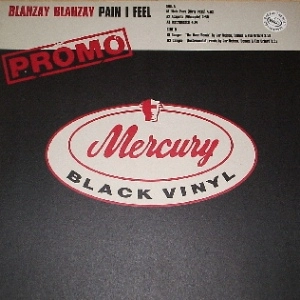 BLAHZAY BLAHZAY / PAIN I FEEL