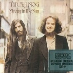 TIR NA NOG / ティル・ナ・ノーグ / STRONG IN THE SUN