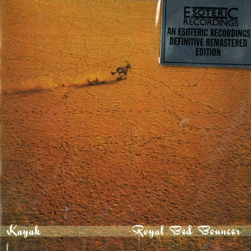 KAYAK / カヤック / ROYAL BED BOUNCER
