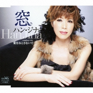 HAN JINA / ハン・ジナ / 窓