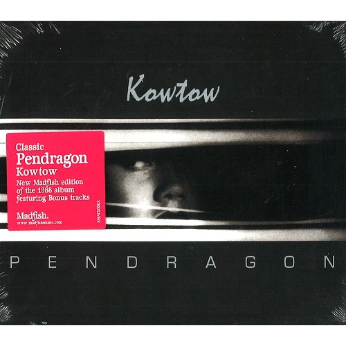 PENDRAGON / ペンドラゴン / KOWTOW