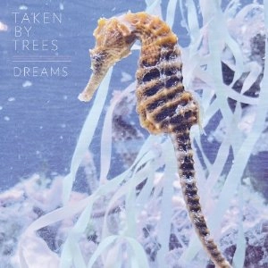 TAKEN BY TREES / テイクン・バイ・トゥリーズ / DREAMS