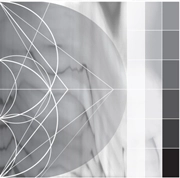 RICARDO DONOSO / ASSIMILATING THE SHADOW