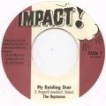HEPTONES / ヘプトーンズ / MY GUIDING STAR
