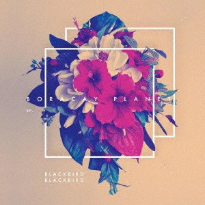 BLACKBIRD BLACKBIRD / ブラックバード・ブラックバード / ボラカイ・プラネット・プラス / BORACAY PLANET +