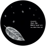 ANDY ASH / WHITE LEAF
