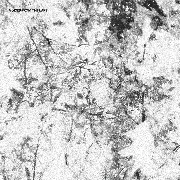 VOICES FROM THE LAKE / ヴォイシズ・フロム・ザ・レイク / VOICES FROM THE LAKE