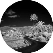 GUY GERBER / ガイ・ガーバー / STEADY