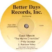GAYE MARVIN / MARVIN CHRONICLES