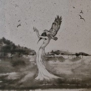 SEKITOVA / PREMATURE MOON AND THE SHOOTING STAR