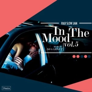 DJ GARNET / ＩＮ　ＴＨＥ　ＭＯＯＤ　ＶＯＬ．５
