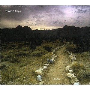 THEO TRAVIS/ROBERT FRIPP / トラヴィス&フリップ / FOLLOW(CD/DVD-A: NTSC)