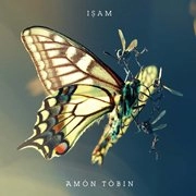 AMON TOBIN / アモン・トビン / ＩＳＡＭ(廉価盤)