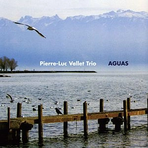 PIERRE-LUC VALLET / ピエール・ルック・バレー / AGUAS