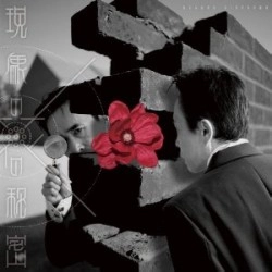 SUSUMU HIRASAWA / 平沢進 / 現象の花の秘密