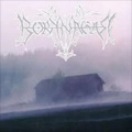 BORKNAGAR / ボルクネイガー / BORKNAGAR