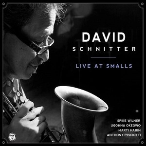 DAVID SCHNITTER / デヴィッド・シュニッター / LIVE AT SMALLS