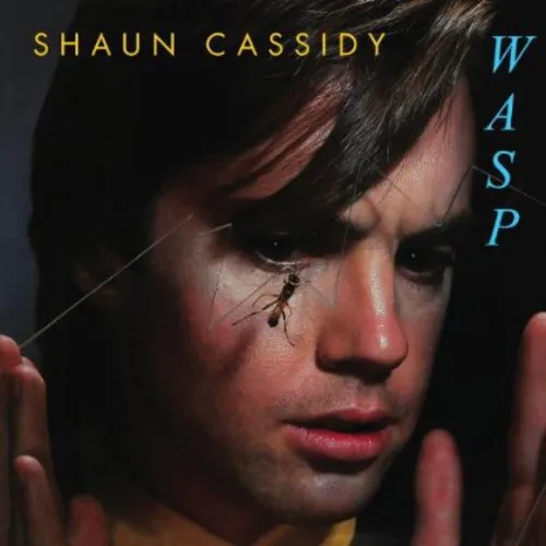SHAUN CASSIDY / WASP