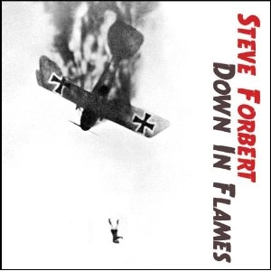 STEVE FORBERT / スティーヴ・フォーバート / DOWN IN FLAMES! (3CD)