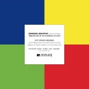 UNIVERSAL INDICATOR / ユニバーサル・インディケーター / INNOVATION IN THE DY