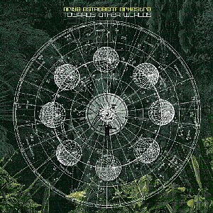 ARIYA ASTROBEAT ARKESTRA / アリヤ・アストロビート・アーケストラ / TOWARDS OTHER WORLDS(CD)