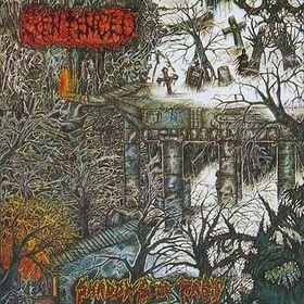 SENTENCED / センテンスト / SHADOWS OF PAST(BLACK VINYL)