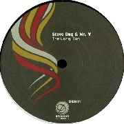 STEVE BUG & MR.V / LONG RUN