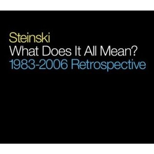 STEINSKI / スタインスキー / Ｗｈａｔ　Ｄｏｅｓ　Ｉｔ　Ａｌｌ　MEAN?