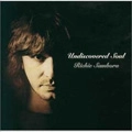 RICHIE SAMBORA / リッチー・サンボラ / アンディスカヴァード･ソウル（SHM-CD） / UNDISCOVERED SOUL
